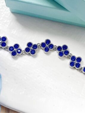 Park Lane “Bleu” Bracelet! BNIB!!